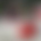 LesMariésxx, Un couple, 52 ans, Bruxelles (2)